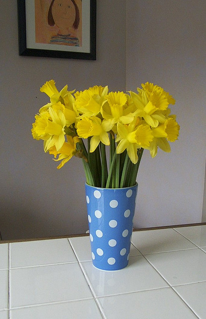 Bunch of daffodils in a polka dot vase
